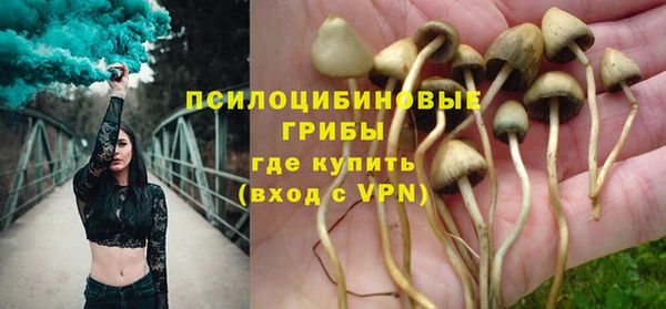 стафф Анива