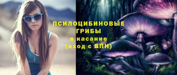 гидра Новодвинск