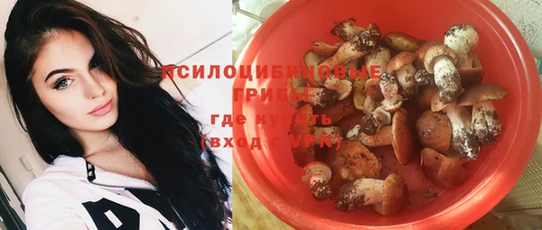 гидра Новодвинск