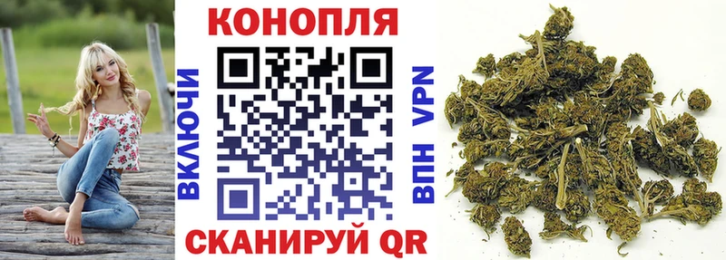 Каннабис SATIVA & INDICA  Орлов 